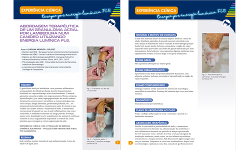 Granuloma acral por lambedura.   C. Mesquita.